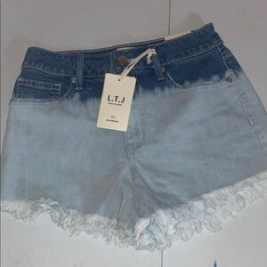 Blue Ombre Women's Shorts